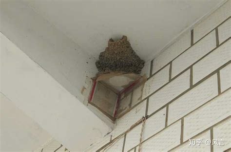 變電箱位置查詢 如何防止燕子築巢